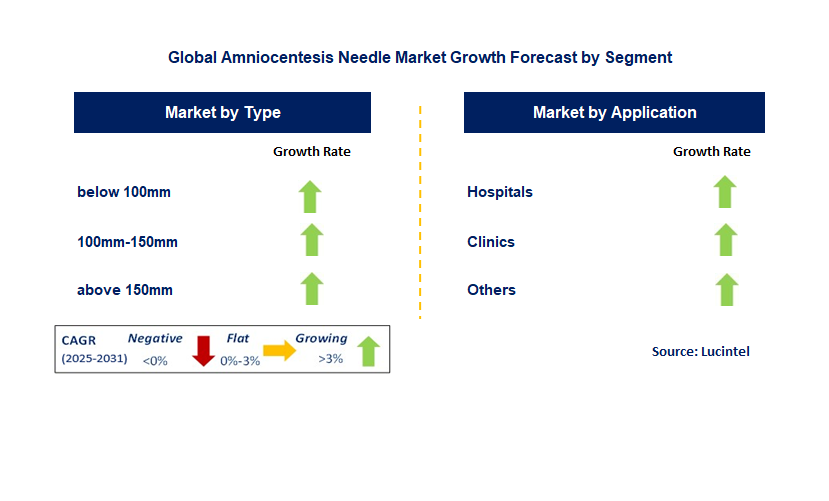 Amniocentesis Needle Market by Segment